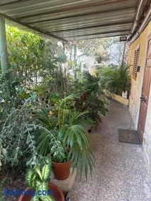 Casa Elisa Canarias - Image 2