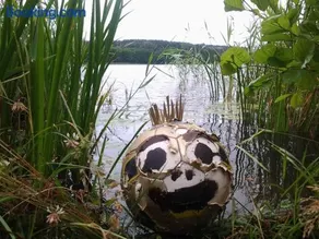 Domek nad jeziorem, a morze w gratisie - Image 3