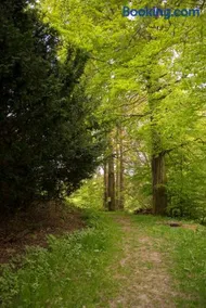 App 622 Panoramic Hohegeiß mit WLan Terrassenhaus - Image 1