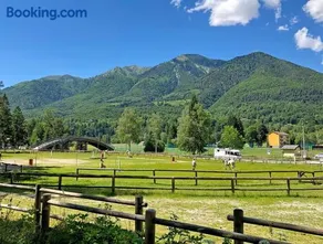 Camping la Pineta - Image 2