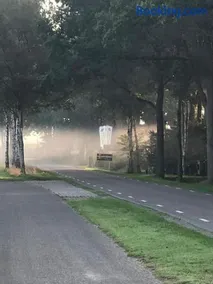 Saevis tranquillus in undis in de IJsvogel - Image 3