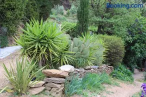 La Maison d'Allouma - Image 3