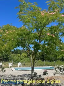 Gîte des Lauriers Roses - Image 3