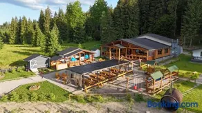CLUBUL DACILOR - Image 4