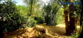 Nour El Gourna - Image 3