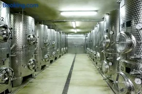 Weingut Pugl - Image 5