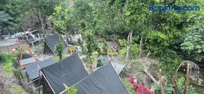 Waterfall Camping A Hidden Paradise near Rishikesh - Image 2