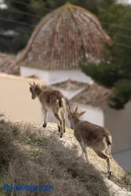 La casita del Cerro - Image 4