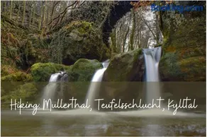 Familienorientiertes tolles Studio mit Garten | Haustiere erlaubt - Image 3