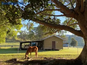 Stay at the Barn... Immerse yourself in nature. - Image 4