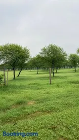 Bhumii Trials - Image 2