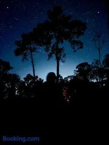 Backwoods Cabana - Image 3