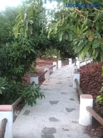 El Olivarillo - Image 2