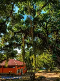 Casa de Madeira Néktar - Refúgio na Natureza - Image 4
