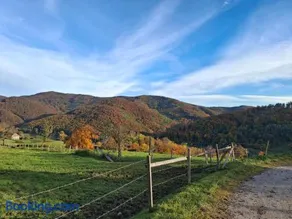 Ferienwohnung Großleiten Alm - Image 3