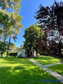 Villa Diomedes - Image 1