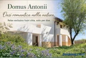 Domus Antonii - Image 1