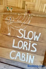 Slow Loris Cabin - Image 4