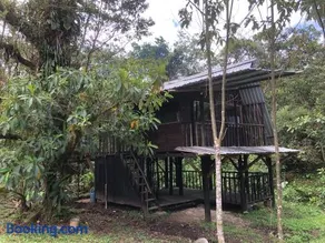 Finca MamaChakra - Cabañas - Camping - Image 5