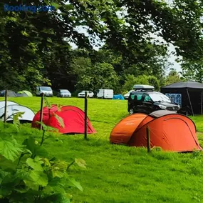 Camping Vieilles Charrues Petit-déjeuner navette et priscine inclus dans le prix proche Carhaix - Image 1