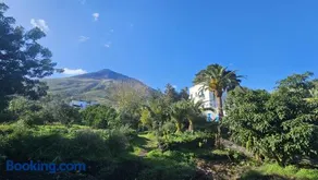 La Casa di Nonna Ida - Image 1