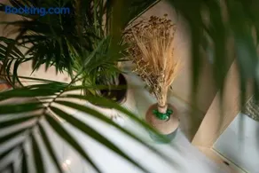 Tulum getaway - Image 5