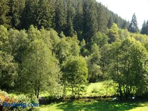 Ferienwohnung im Kupferhammer - Image 1