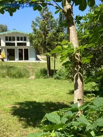 Waldchalet mit Sauna und Whirlpool - Image 1