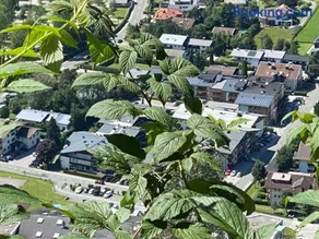 Murmeltier-Stube - Image 1