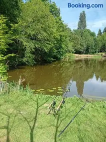 Carpfollies - Image 3