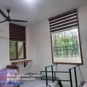 Farm stay in a coffee plantation near Athirappally - Image 4