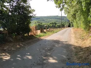 Le Mont Rochard - Image 4