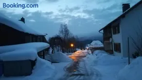 Haus Haidweg - Ferienwohnungen in Haidmühle im Dreiländereck DE-CZ-AT - Image 2