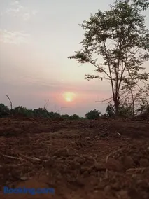 Kittu's Farm - Image 3