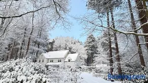 A Calm & Quiet Stay - Image 5