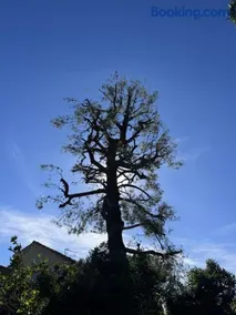 Le Mas de la Garrigue - Gîte chaleureux et calme absolu au pied des collines de Pagnol - Image 2