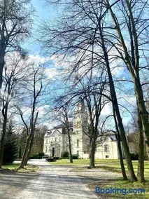 Pałac Borowa - Image 2