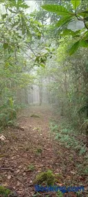 Infinite Stillness Farm - Image 2