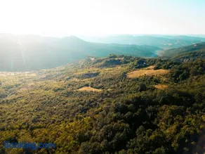 Wild Orchard Farm - Image 2