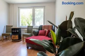 Excellent Large Lux Apartment Central Martin - Image 4