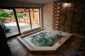Villa Hope (Vila Speranta) - Image 1