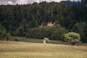 Ventlejas - Image 2