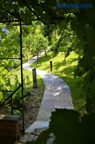 Vinařství Koliba - Image 2