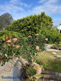 Guesthouse in Coastal Del Mar, California - Image 2