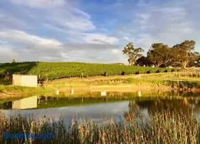 Peaceful 4-Bedroom Vineyard Retreat in Hahndorf - Image 2
