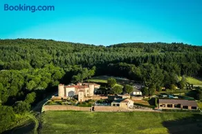 Château de Cachard - Image 3