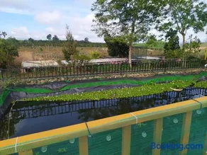 Gia Huan Homestay - Tà Đùng - Image 2