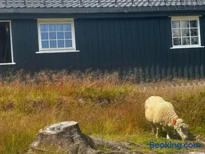 Hyttekos og ro på Budor, 4 roms hytte med peis og wifi - Image 2