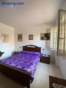 Lemon House - Image 5