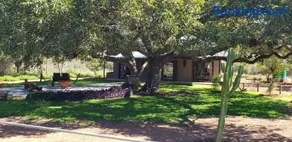 Zebra game farm - Image 2